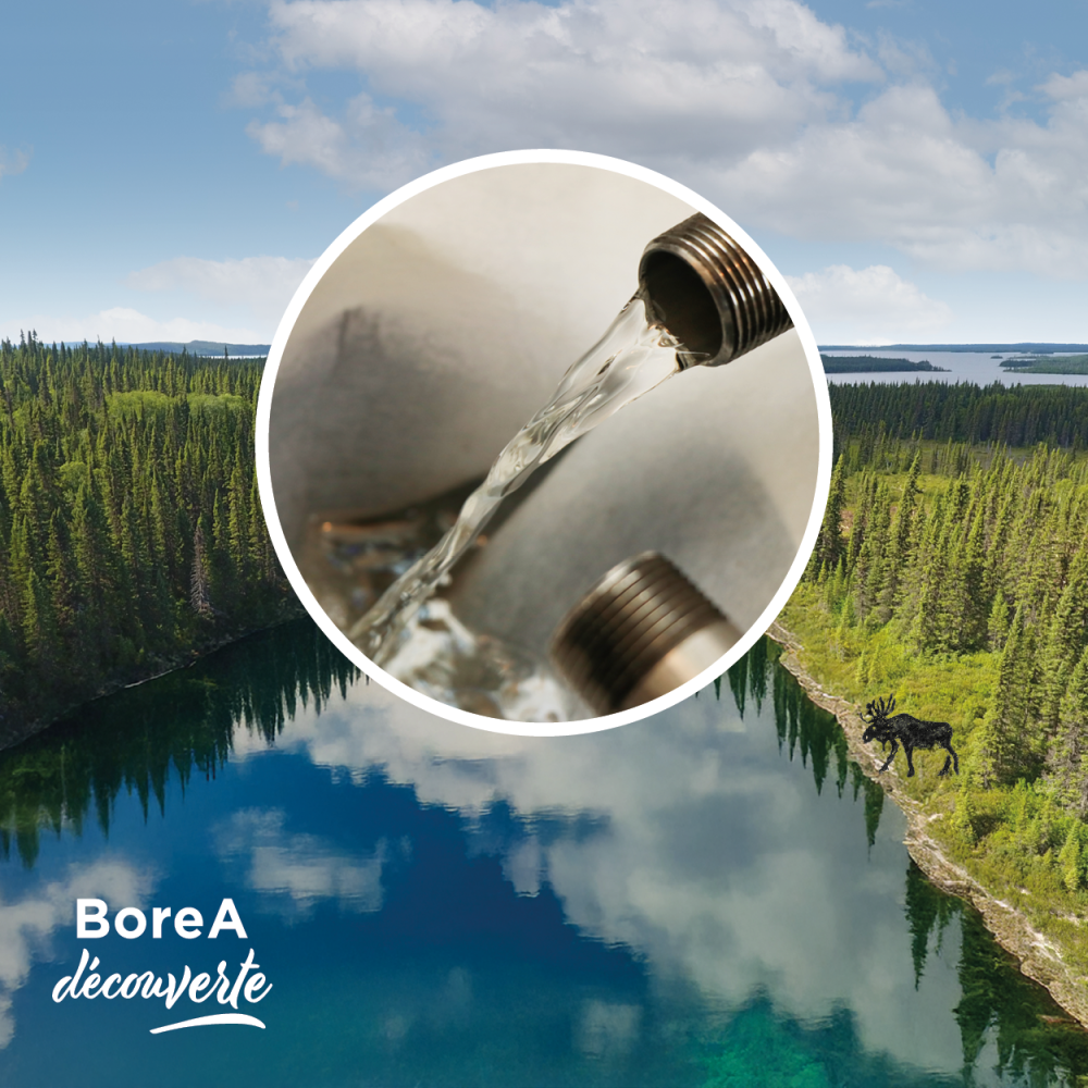 BoreA DécouVERTE à Chapais
